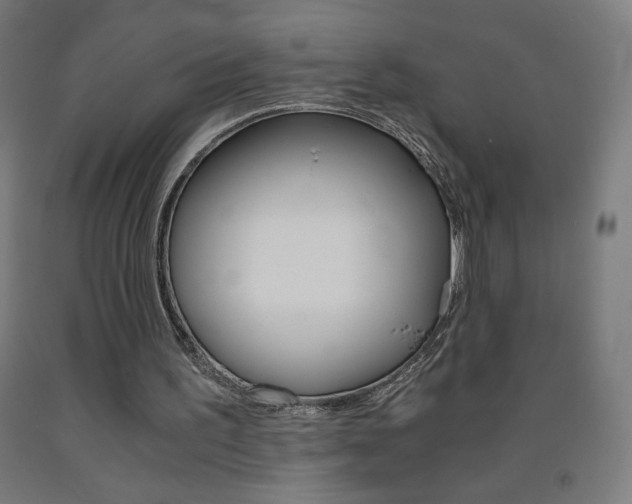 X0000093230195200709261516