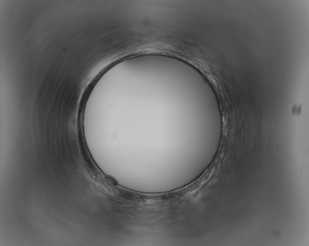 X0000093230196200709261516