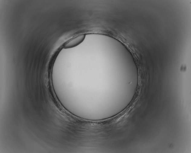 X0000093230198200709261516