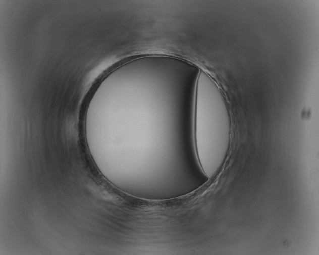 X0000093230200200709261516