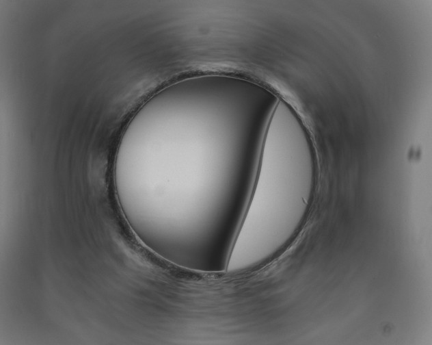 X0000093230201200709261516