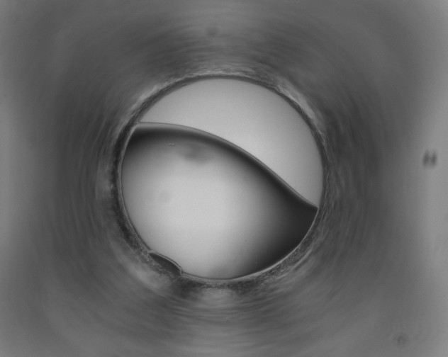X0000093230203200709261516
