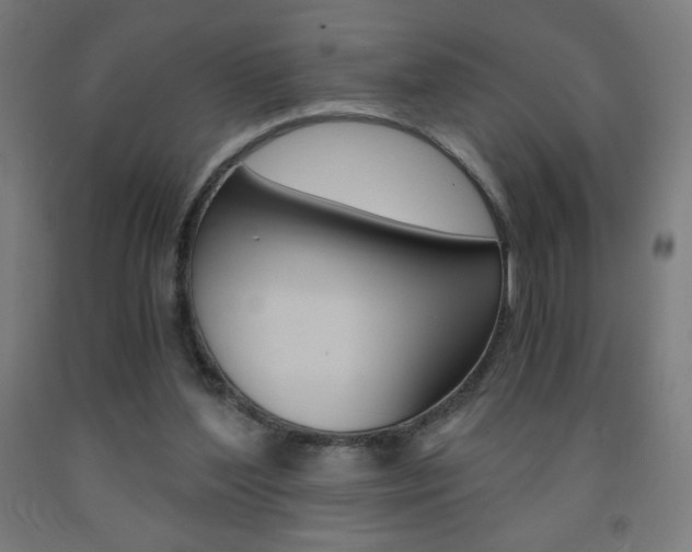 X0000093230204200709261516