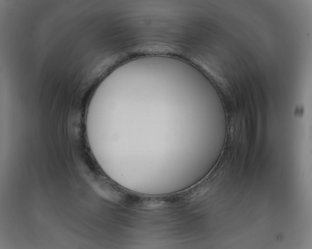 X0000093230206200709261516