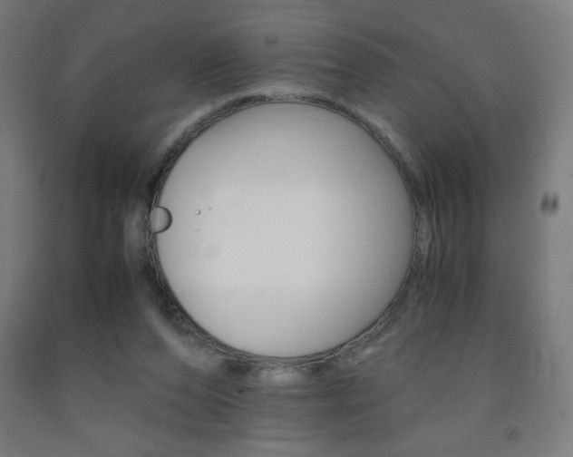 X0000093230208200709261516