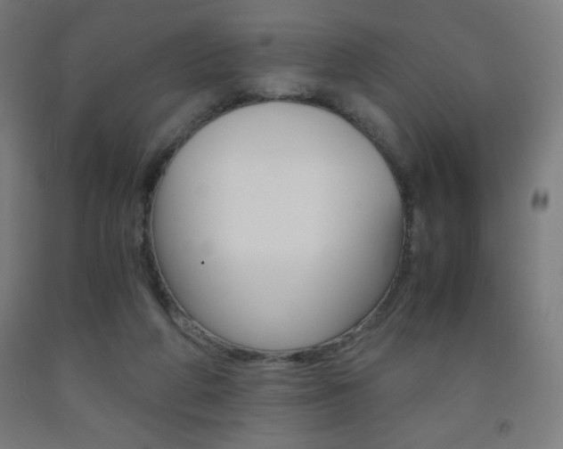X0000093230210200709261516