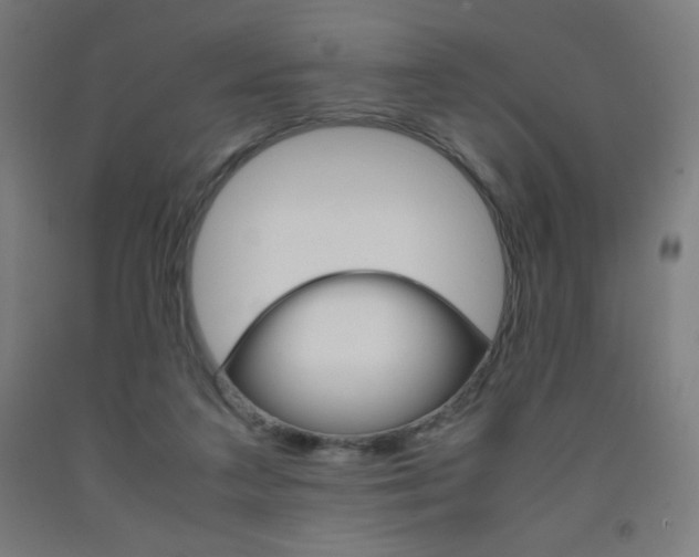 X0000093230211200709261516