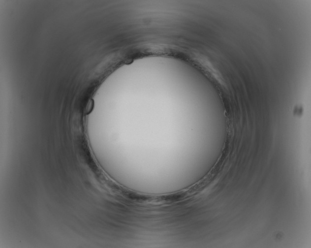 X0000093230213200709261516