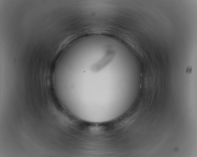 X0000093230216200709261516