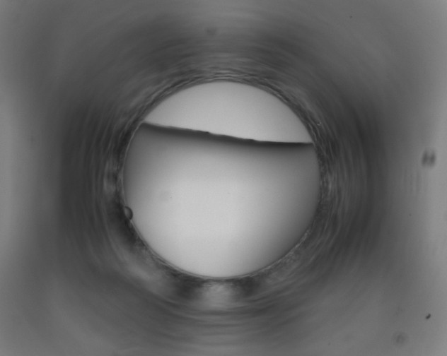 X0000093230218200709261516