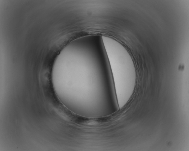 X0000093230219200709261516
