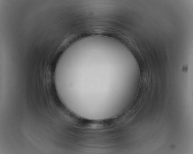 X0000093230220200709261516