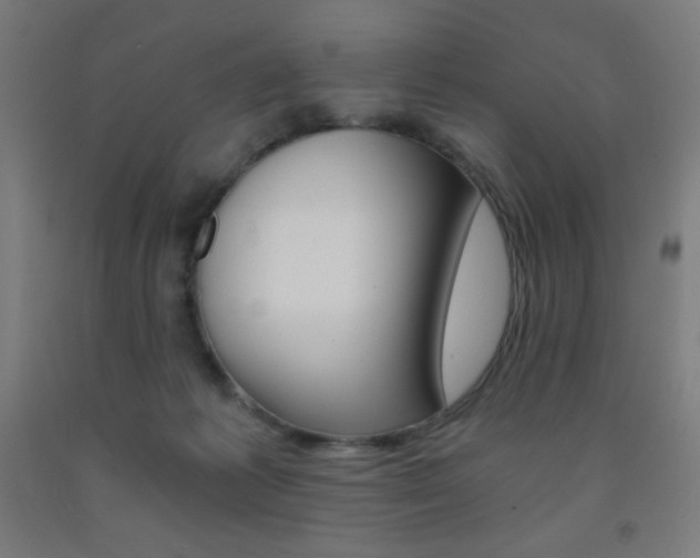 X0000093230221200709261516