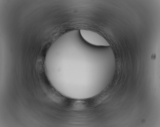 X0000093230222200709261516