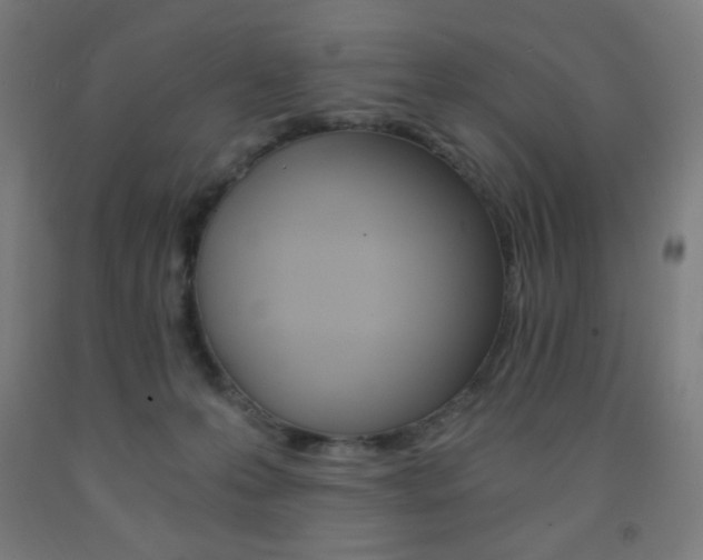 X0000093230223200709261516