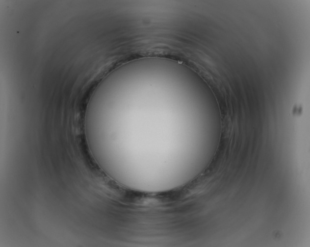 X0000093230224200709261516