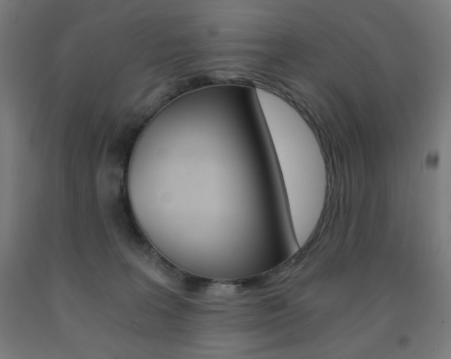 X0000093230227200709261516