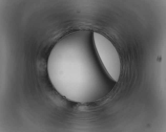 X0000093230228200709261516