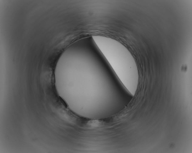 X0000093230231200709261516