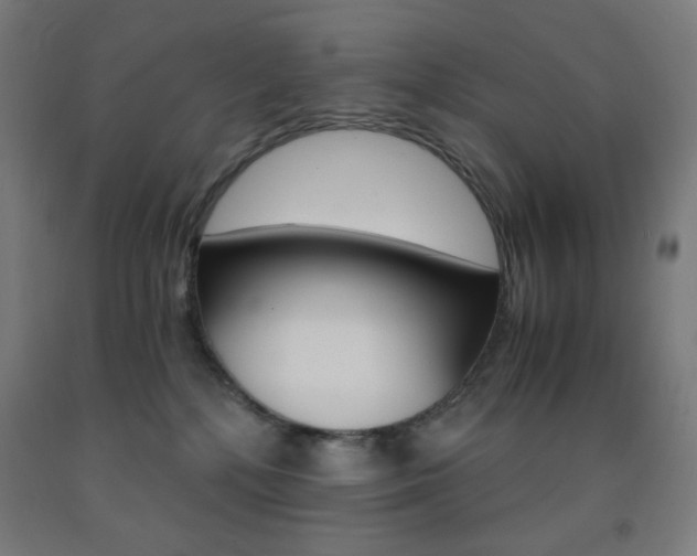 X0000093230232200709261516