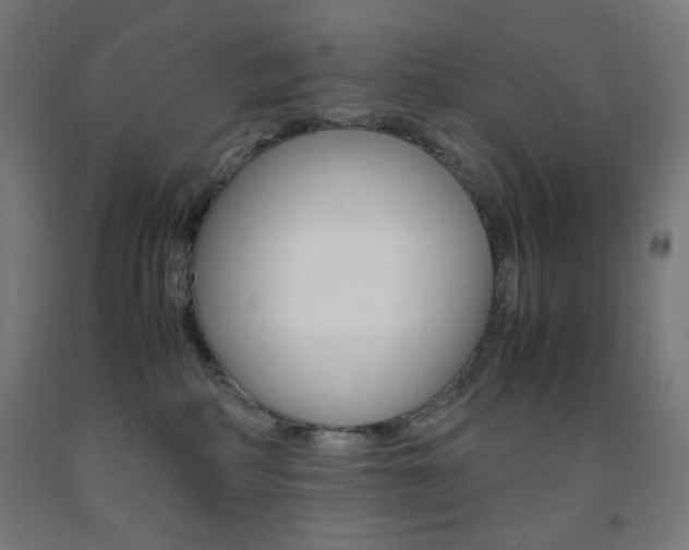 X0000093230234200709261516