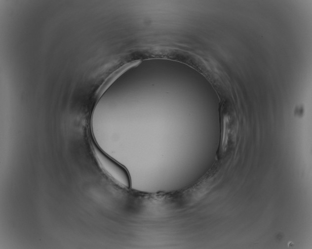 X0000093230235200709261516