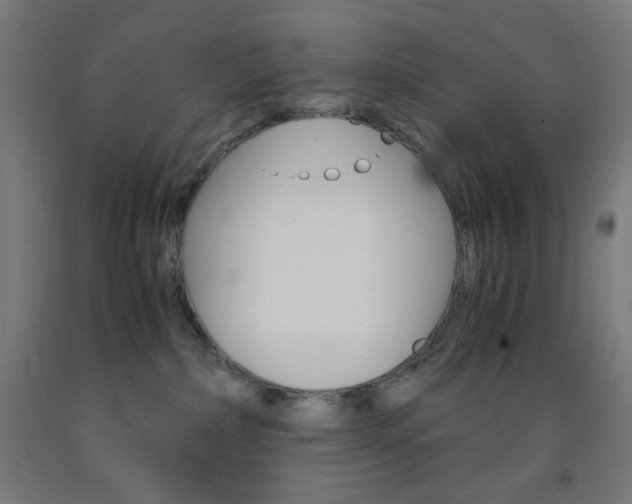 X0000093230236200709261516