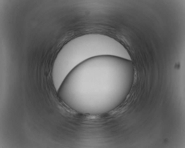 X0000093230237200709261516