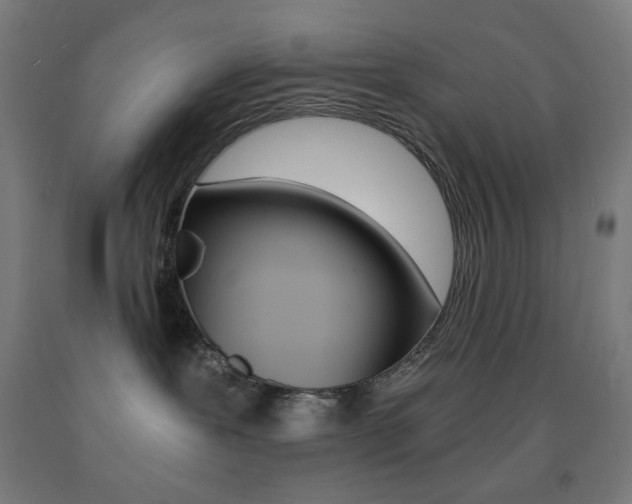 X0000093230239200709261516