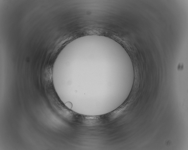 X0000093230240200709261516