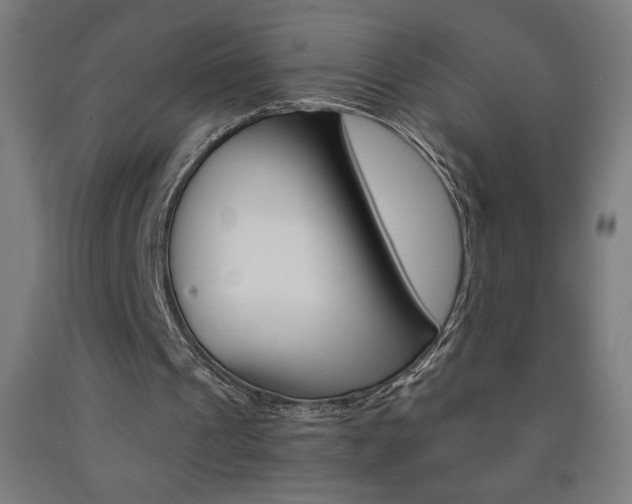 X0000093230241200709261515