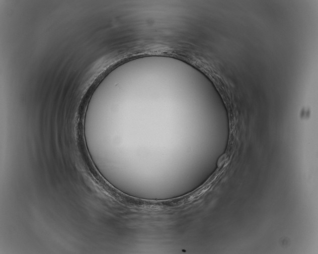 X0000093230242200709261515
