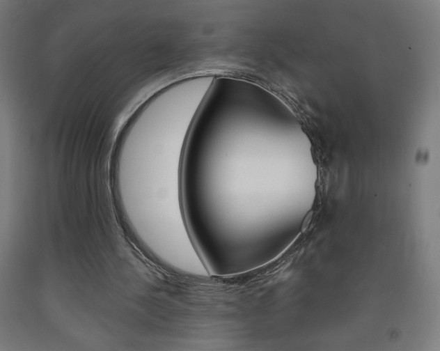 X0000093230244200709261515