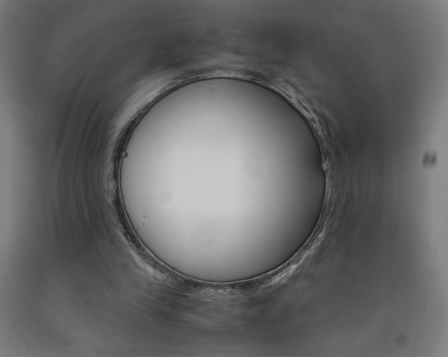 X0000093230245200709261515