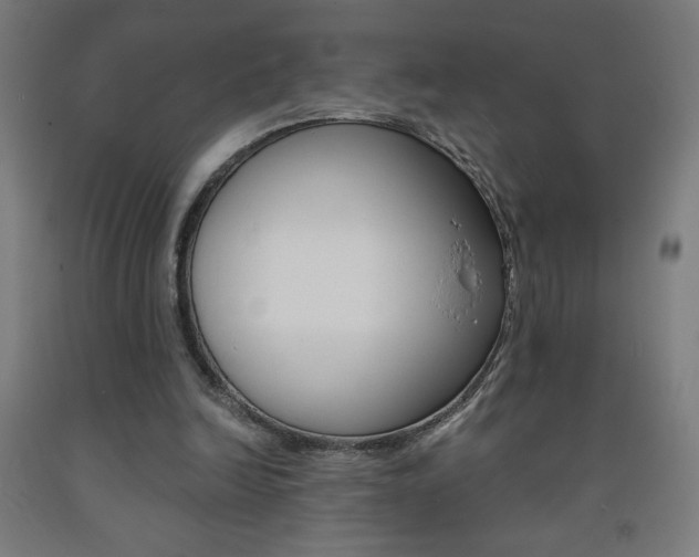 X0000093230246200709261515