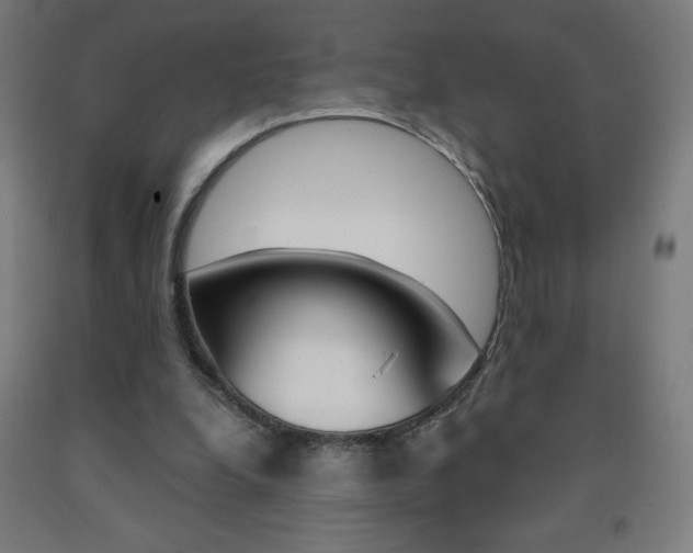 X0000093230248200709261515