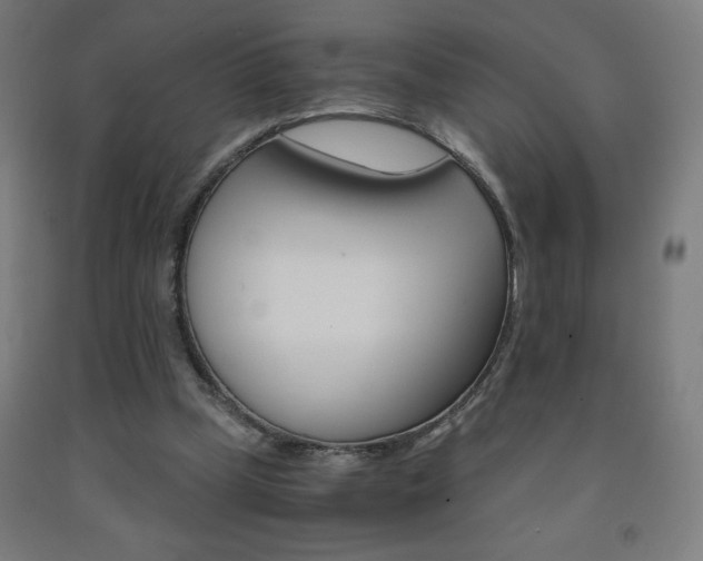 X0000093230249200709261515