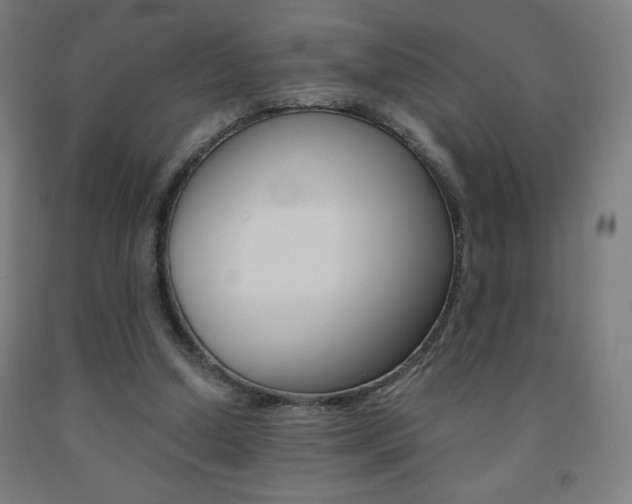 X0000093230250200709261515