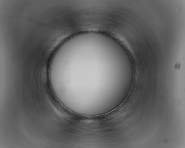 X0000093230251200709261515