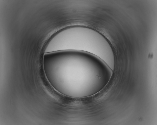 X0000093230252200709261515