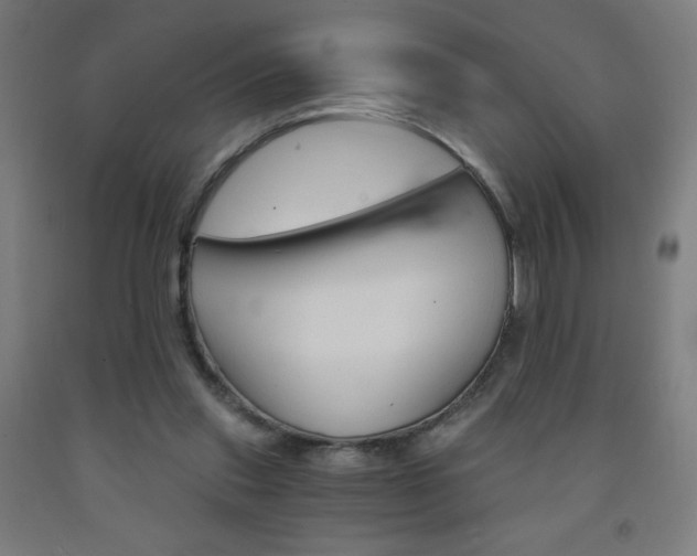 X0000093230253200709261515