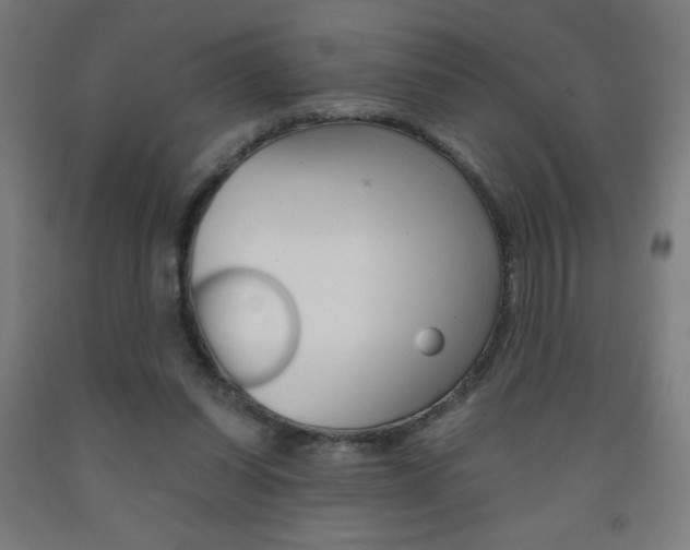 X0000093230254200709261515
