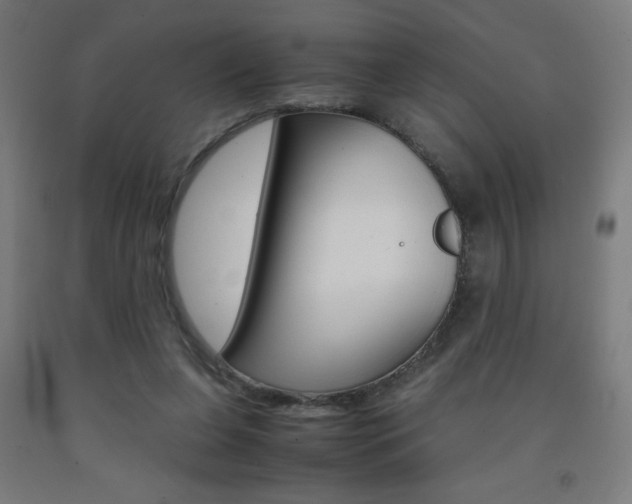 X0000093230255200709261515