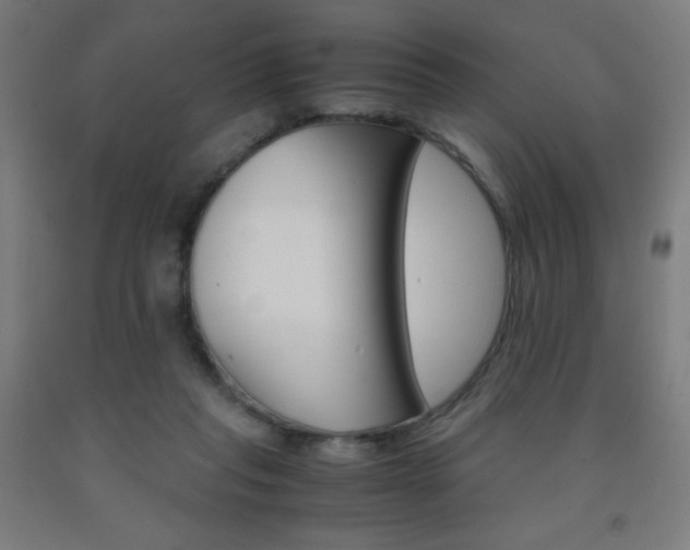 X0000093230261200709261515