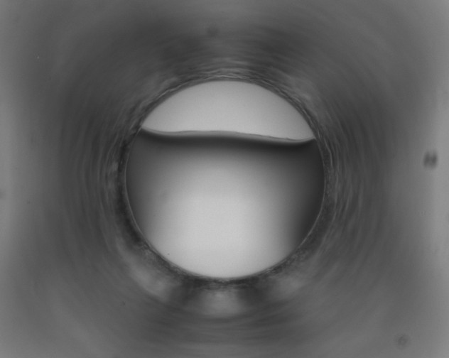 X0000093230263200709261515