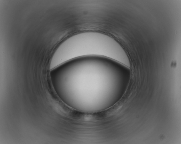 X0000093230264200709261515