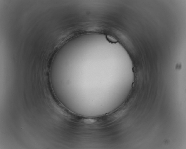 X0000093230265200709261515