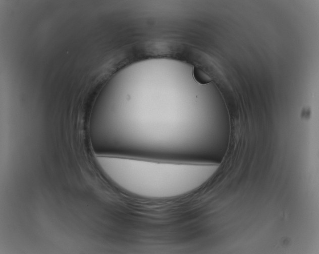 X0000093230267200709261515