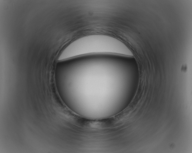X0000093230268200709261515