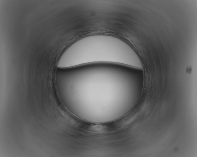 X0000093230269200709261515